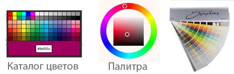 Открыть для просмотра цвета тиккурила - каталог цветов тиккурила